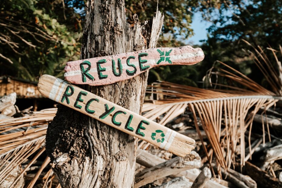 a close up of a sign on a tree